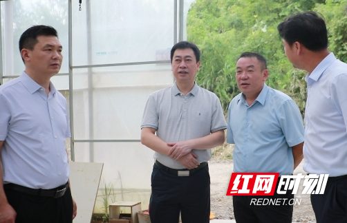 黄永英调研东升农场