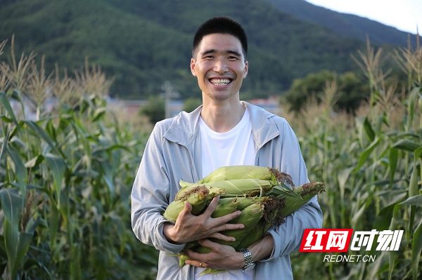 刘文在玉米种植基地